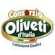 Logo Consorzio Oliveti