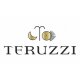 Logo Teruzzi