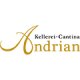 Logo Andrian