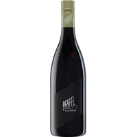 2023 | Weingut Pfaffl Zweigelt VOM HAUS, rot,