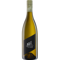 2023 | Weingut Pfaffl Grüner Veltli gallery