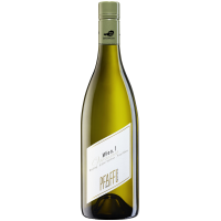 2023 | Weingut Pfaffl Wien.1, weiß gallery