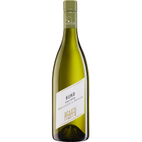 2023 | Weingut Pfaffl Grüner Veltliner H