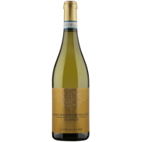 2024 | Il Conte Verdicchio DOC Classico, gallery