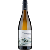 2023 | Weingut Steitz Weissburgunder Ste gallery