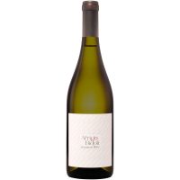 2025 | Bidoli Vini Arrigo Bidoli 1924 Sa gallery