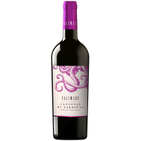 2024 | Salimare Cannonau di Sardegna DOC gallery