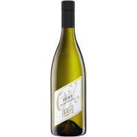 Weingut Pfaffl PRIMO Grüner Veltlin gallery