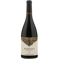 2023 | Il Conte Marinus Rosso Piceno Sup gallery