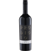 2025 | Prodigio del Sole Merlot Veneto I gallery