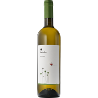 2025 | Roccafiore Fiordaliso Bianco IGT, gallery