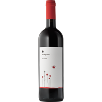 2024 | Roccafiore Melograno Rosso IGT, r gallery