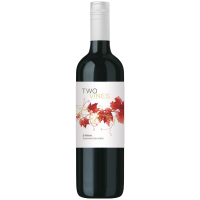 2022 | Two Vines Syrah 0,75 Liter | Columbia 