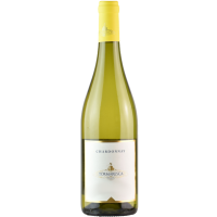 2022 | Tormaresca Chardonnay Puglia IGT 0,75 Liter | Tormaresca - Antinori