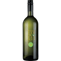 2025 | Pinot Grigio 1,0 Liter | Villa Sa gallery