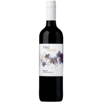 2019 | Two Vines Merlot 0,75 Liter | Col gallery