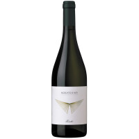 2024 | Moscato dAsti DOCG 0,75 Liter | P gallery