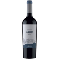 2024 | Malbec Andeluna 1300 0,75 Liter | gallery