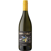 2022 | Sauvignon DOC 0,75 Liter | Franz Haas