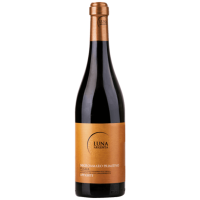 2024 | Negroamaro Primitivo Puglia IGT 0 gallery