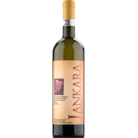 2020 | Vermentino di Gallura DOCG | Jank gallery