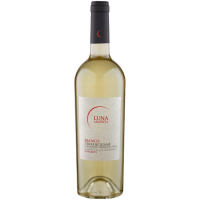 2024 | Bianco Terre Siciliane IGT 0,75 L gallery