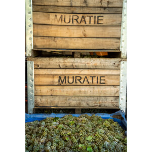 2021 | Melcks Blended Red 0,75 Liter | Muratie Estate