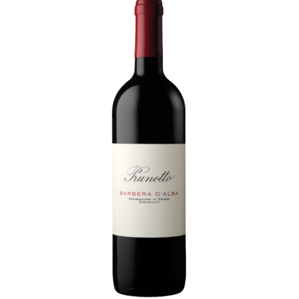 2024 | Barbera dAlba DOC 0,75 Liter | Prunotto