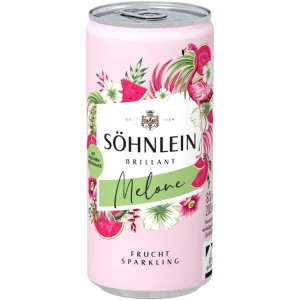 S&ouml;hnlein Brillant Melone Flamingo 0,2 Liter Dose