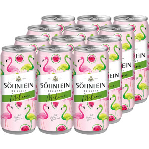 S&ouml;hnlein Brillant Melone Flamingo 12x 0,2 Liter Dose
