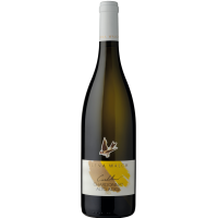 2023 | Cardellino Chardonnay Castel Ring gallery