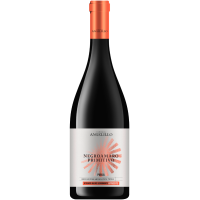 2025 | Negroamaro Primitivo Appassite 0, gallery