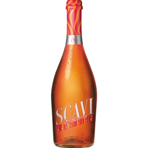Scavi &amp; Ray Sprizzione 0,75 Liter