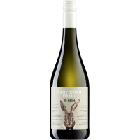 2025 | Sauvignon Blanc "Has gallery 35_2nd